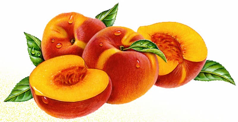 تصویر 4 از قیمت خرید کمپوت هلو ارگانیک حلقه‌ ای با فروش عمده